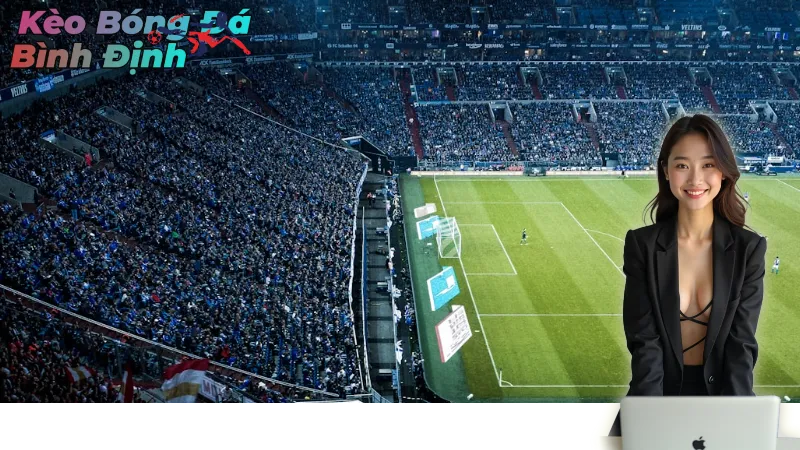 Hướng Dẫn Cá Cược Bóng Đá Bình Định Chi Tiết